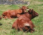 image086.jpg